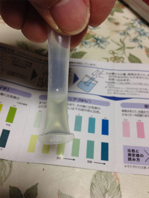 f:id:ky823:20140213205239j:image f:id:ky823:20140213205239j:image