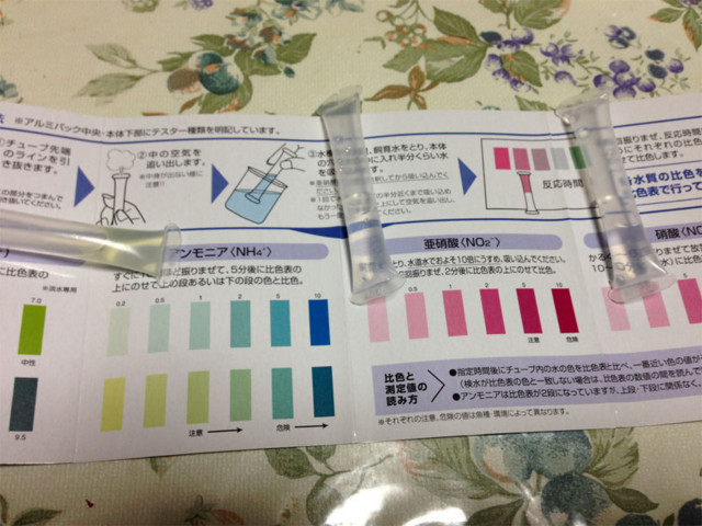 f:id:ky823:20140213205417j:image f:id:ky823:20140213205417j:image