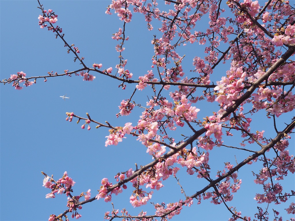 f:id:kya_pon:20210322121606j:image