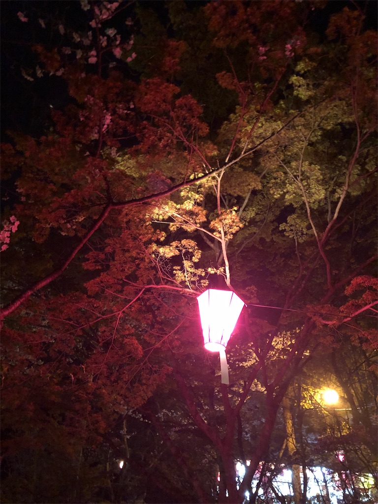 f:id:kya_pon:20210401232800j:image