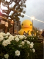 [RubberDuck]