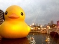 [RubberDuck]