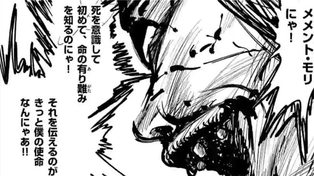 f:id:kyamrun:20210302220201j:image f:id:kyamrun:20210302220201j:image