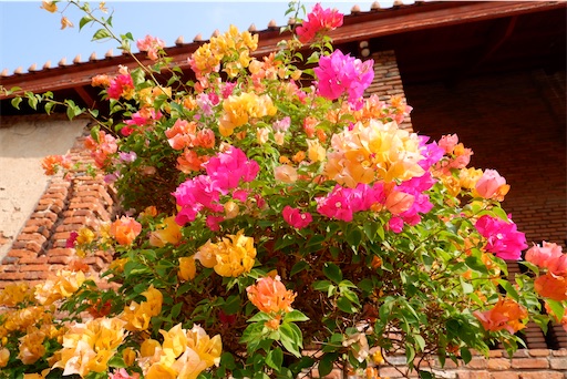 f:id:kyanatantan:20200314212939j:image f:id:kyanatantan:20200314212939j:image
