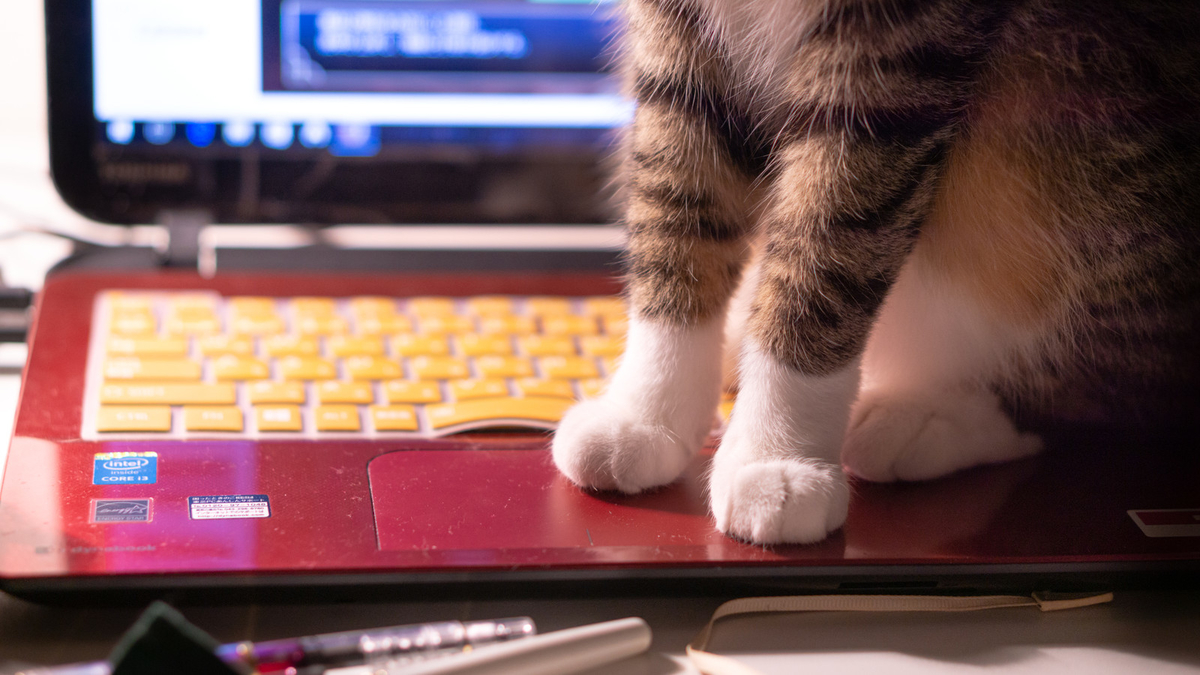 f:id:kyanntaw:20200416163735j:plain