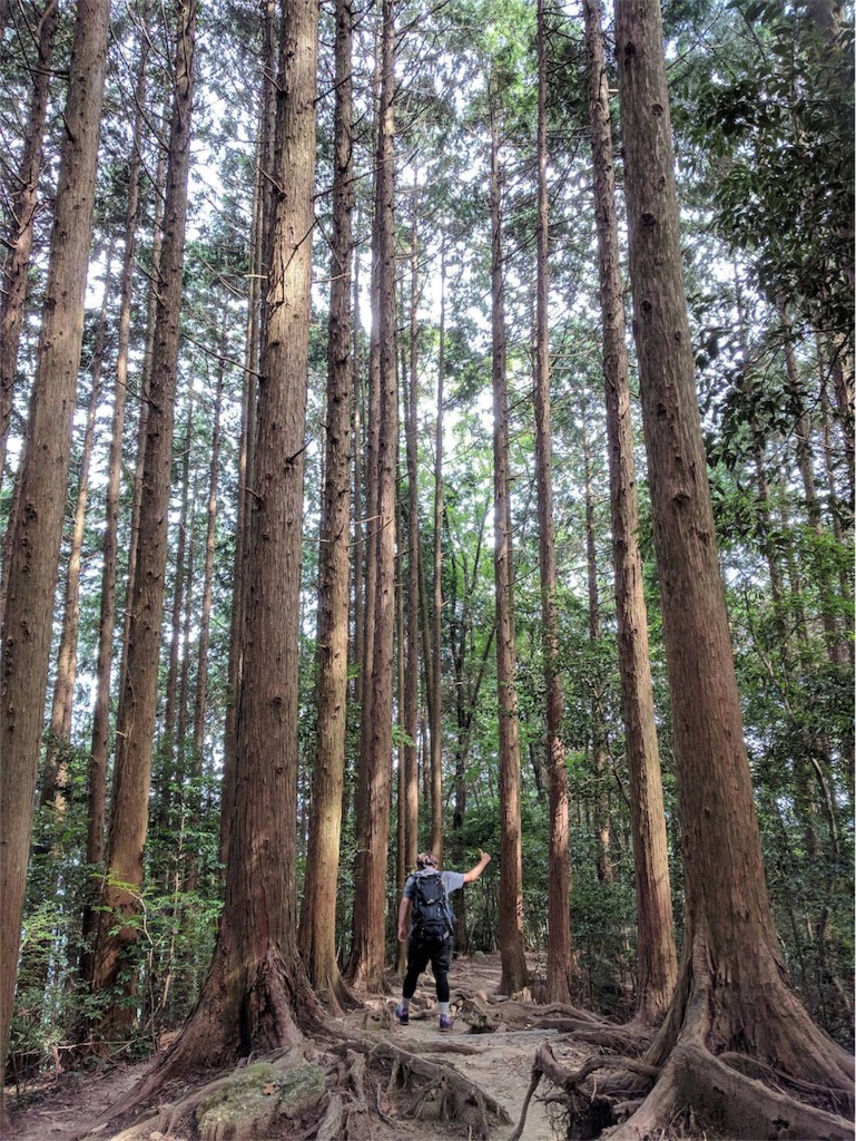 f:id:kyapa97:20180407002412j:image