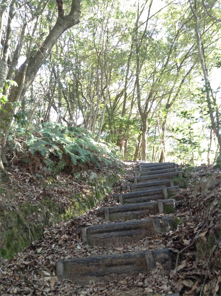 f:id:kyapa97:20180509225634j:image