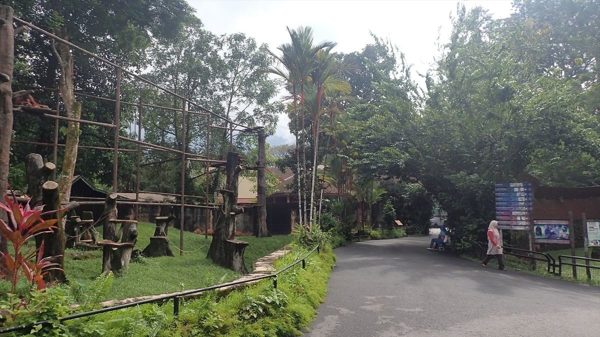 f:id:kyarafuki33:20190604005559j:plain