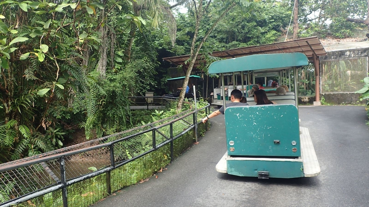 f:id:kyarafuki33:20190604010404j:plain
