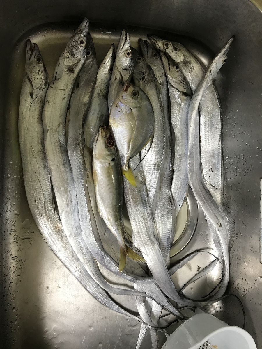 ただ巻きでも釣れる タチウオをメタルジグで釣りに行こう つらつらと ゆらゆらと