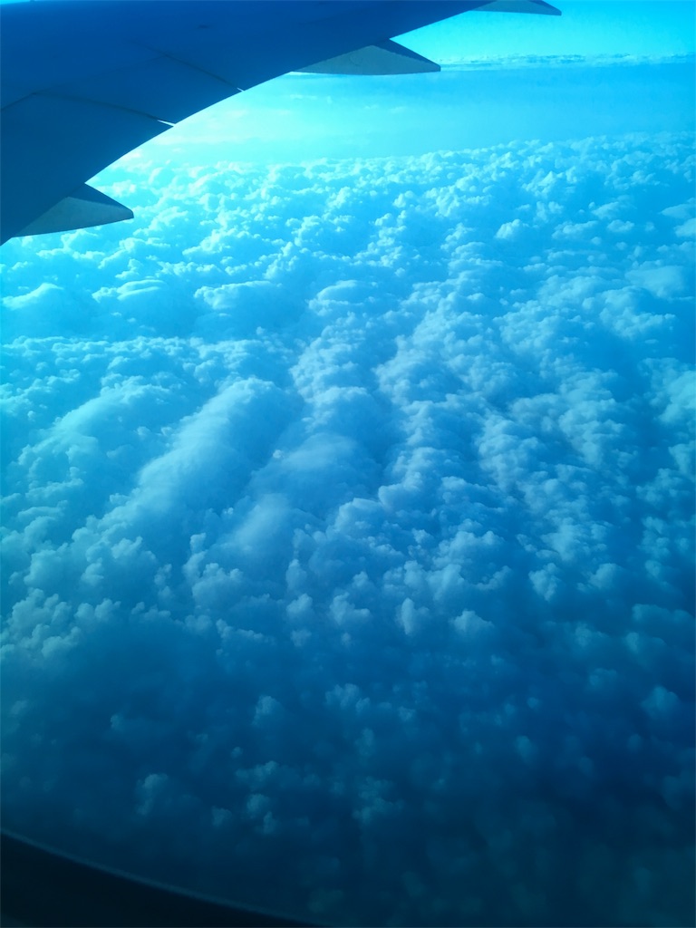 f:id:kygs731:20180303010431j:image f:id:kygs731:20180303010431j:image