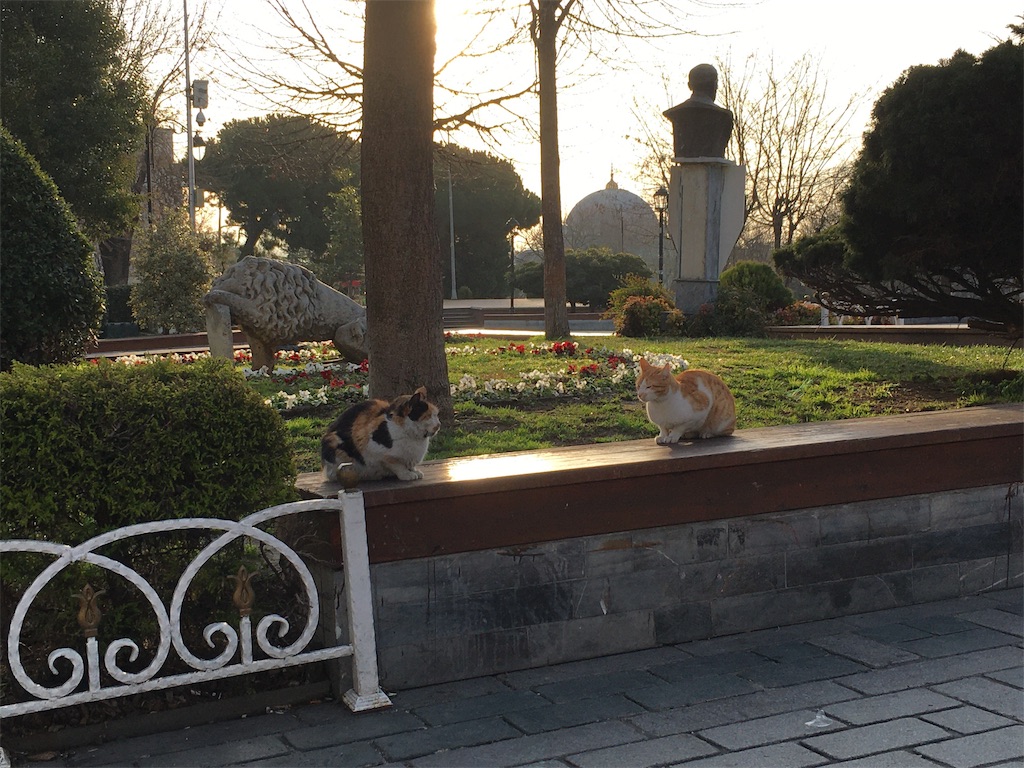 f:id:kygs731:20200221002032j:image f:id:kygs731:20200221002032j:image
