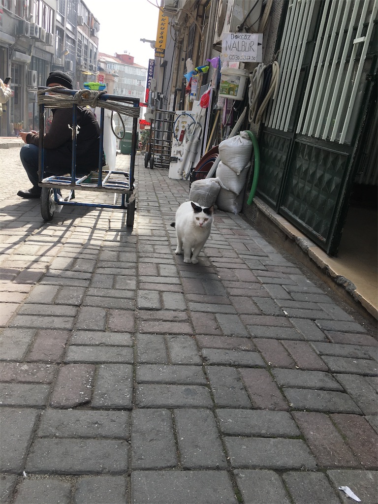 f:id:kygs731:20200221002617j:image f:id:kygs731:20200221002617j:image