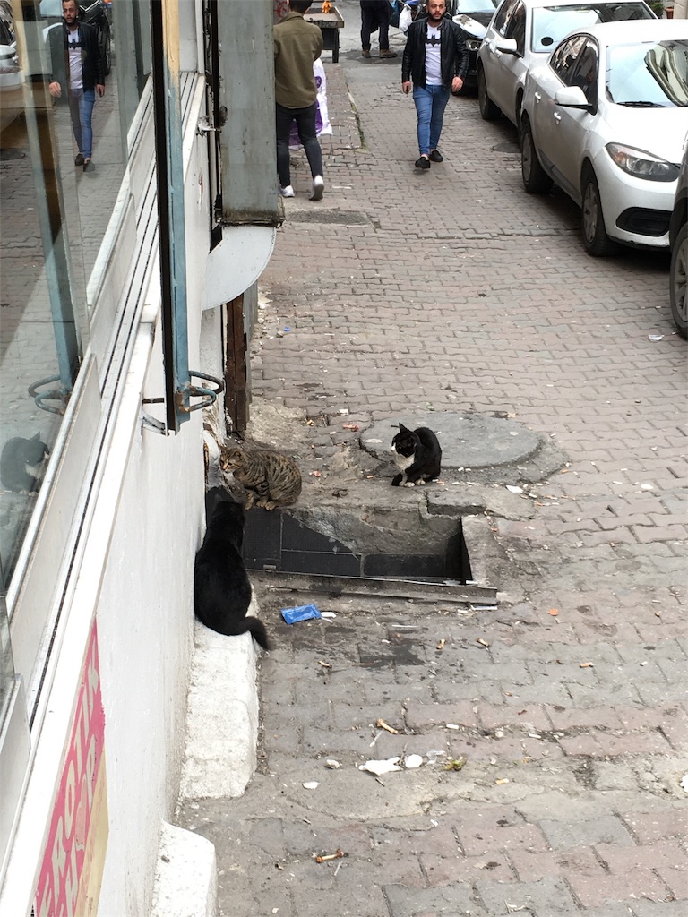 f:id:kygs731:20200221003629j:image f:id:kygs731:20200221003629j:image