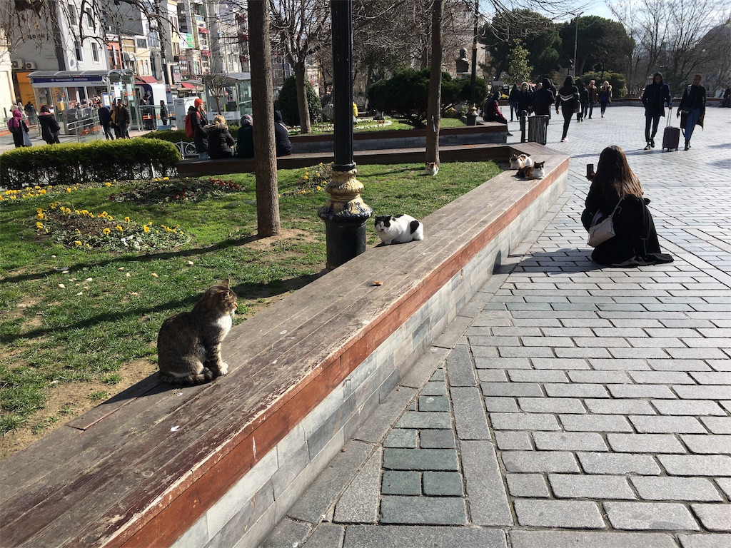 f:id:kygs731:20200221004503j:image f:id:kygs731:20200221004503j:image
