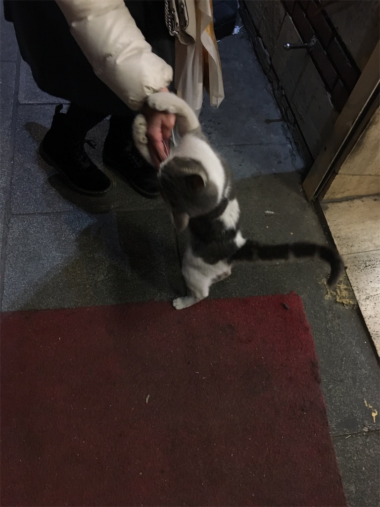 f:id:kygs731:20200221005541j:image f:id:kygs731:20200221005541j:image
