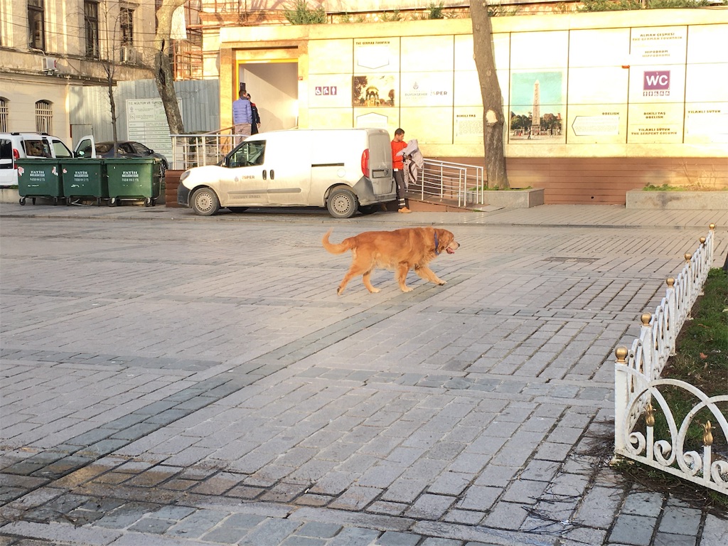 f:id:kygs731:20200221010757j:image f:id:kygs731:20200221010757j:image