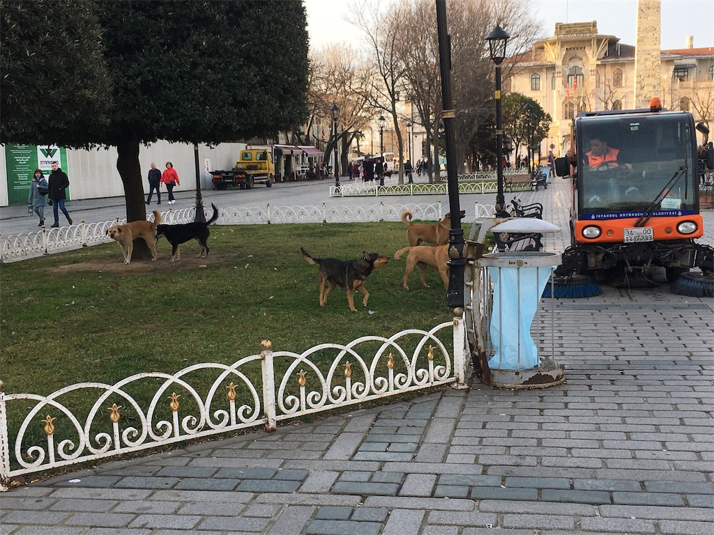f:id:kygs731:20200221010800j:image f:id:kygs731:20200221010800j:image