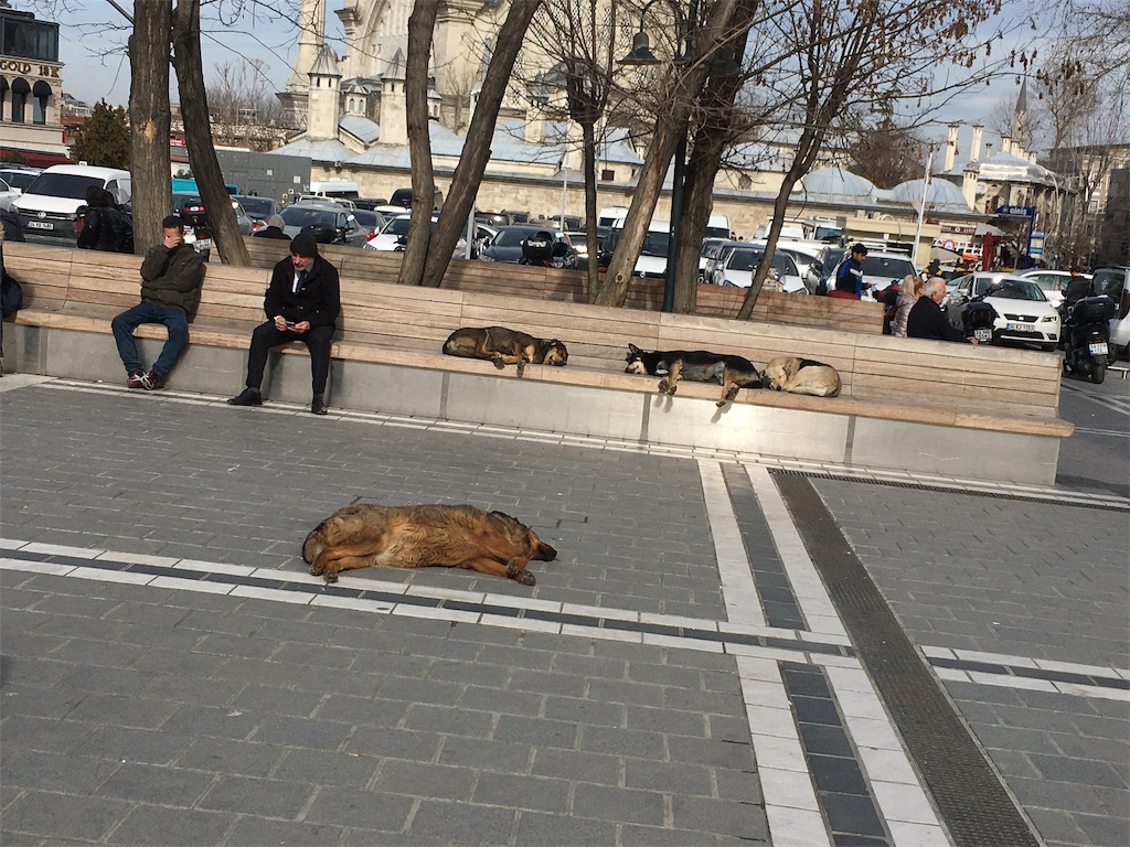 f:id:kygs731:20200221011339j:image f:id:kygs731:20200221011339j:image
