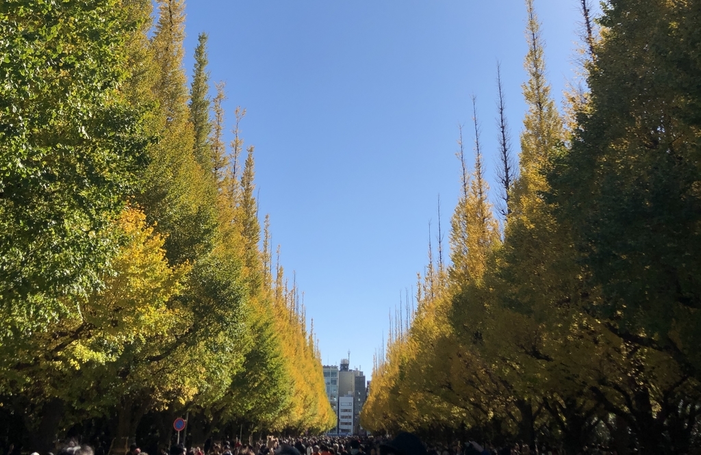 f:id:kykyky-17-skri:20181126213415j:plain イチョウ並木の写真