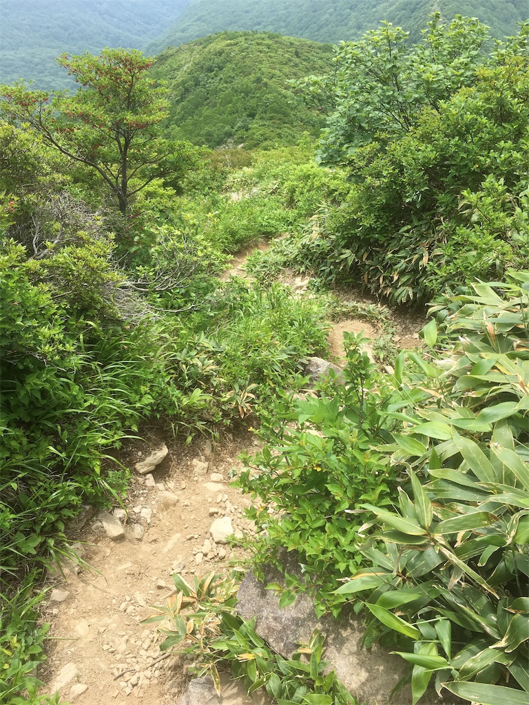 f:id:kylemagi:20180628105649j:image f:id:kylemagi:20180628105649j:image