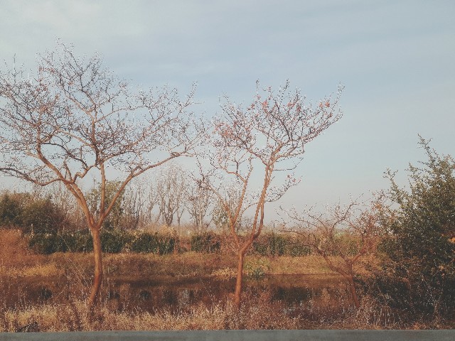 f:id:kymd20jp:20191211082458j:image f:id:kymd20jp:20191211082458j:image
