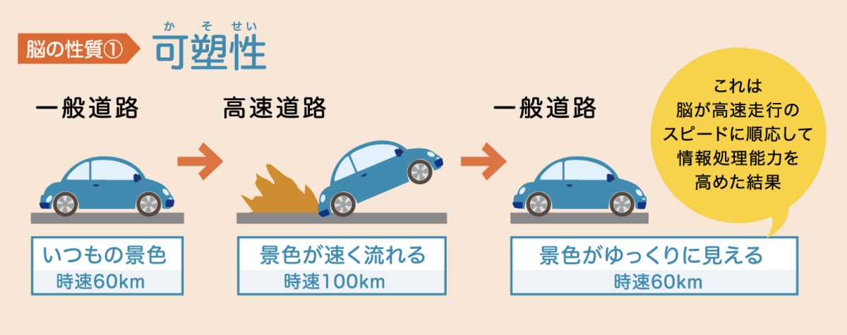脳科学による裏付け1