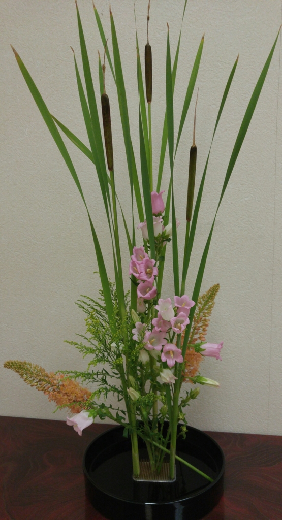 f:id:kyo-happy:20160615140959j:plain f:id:kyo-happy:20160615140959j:plain