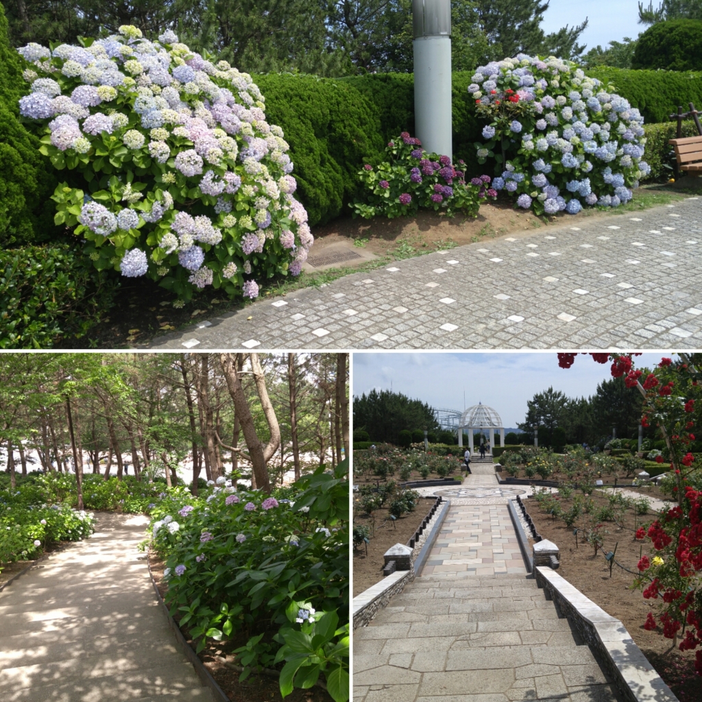 f:id:kyo-happy:20160615142254j:plain f:id:kyo-happy:20160615142254j:plain