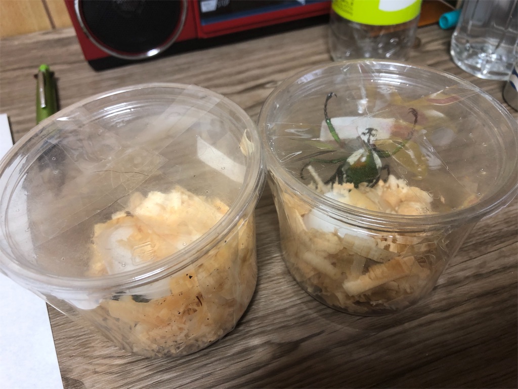 f:id:kyo-hph-mt120300:20190616101643j:image f:id:kyo-hph-mt120300:20190616101643j:image