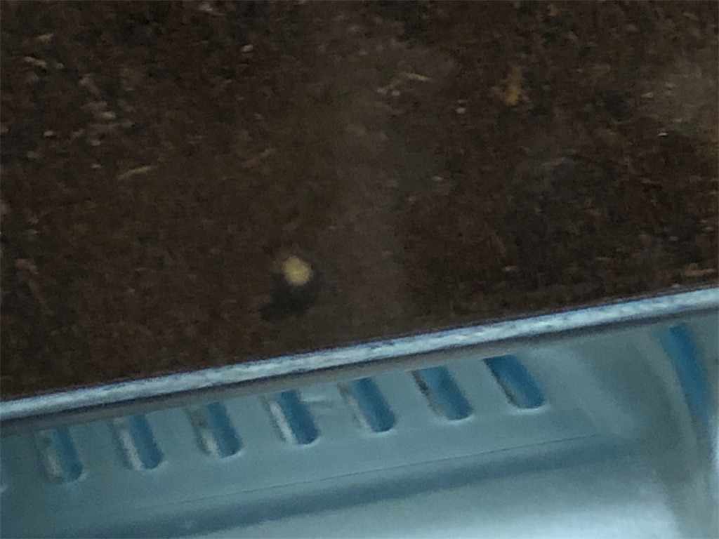 f:id:kyo-hph-mt120300:20190626220409j:image f:id:kyo-hph-mt120300:20190626220409j:image
