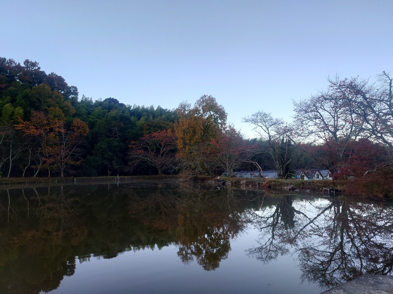 f:id:kyo163:20251128140453j:image f:id:kyo163:20251128140453j:image
