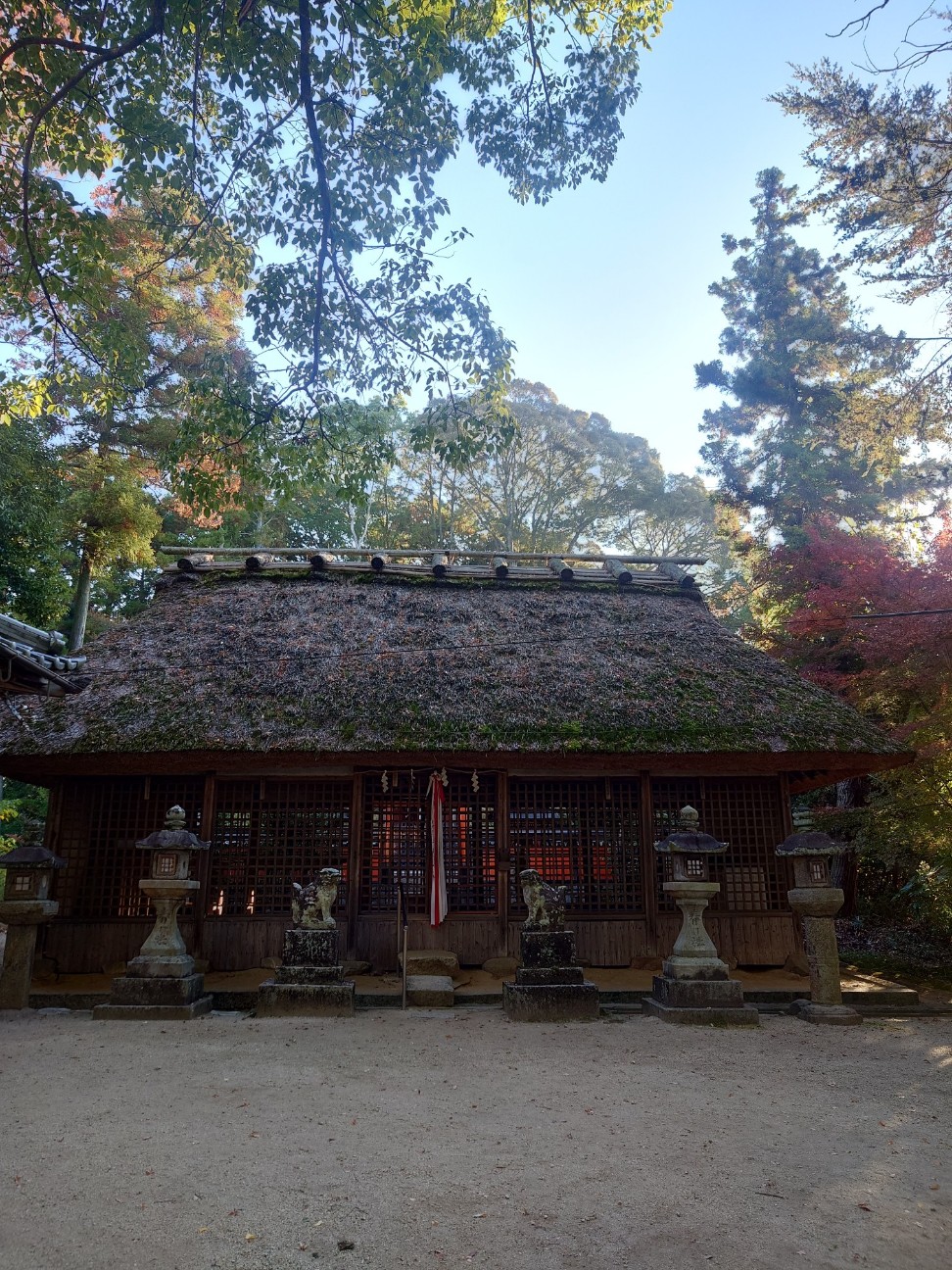 f:id:kyo163:20251128184814j:image f:id:kyo163:20251128184814j:image