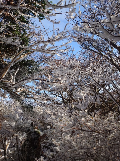 f:id:kyo163:20260105233301j:image