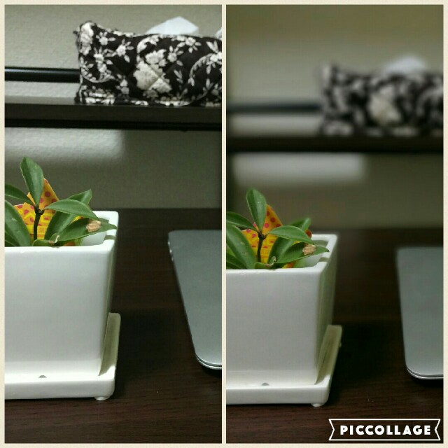 f:id:kyo6448:20161023214205j:image