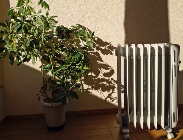 f:id:kyo6448:20161124202801j:plain f:id:kyo6448:20161124202801j:plain