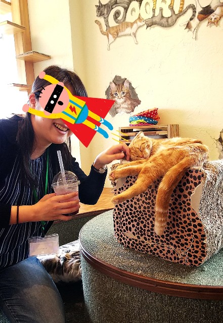 f:id:kyo_collie:20190707114232j:plain:w340 f:id:kyo_collie:20190707114232j:plain:w340