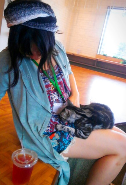 f:id:kyo_collie:20190707114245j:plain:w340 f:id:kyo_collie:20190707114245j:plain:w340