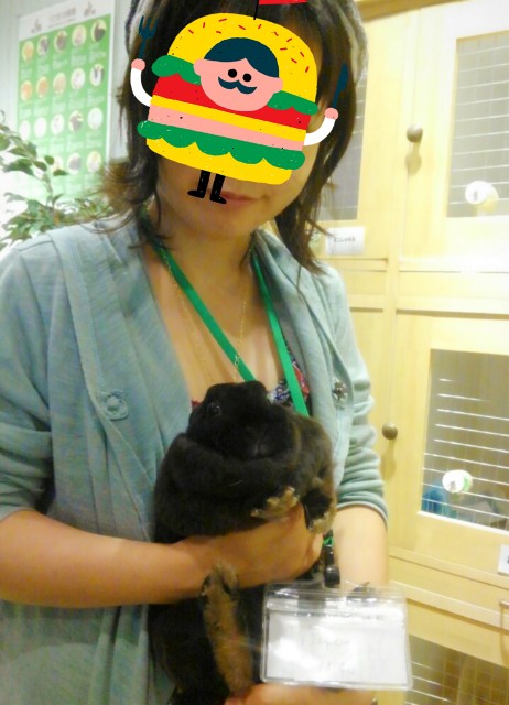 f:id:kyo_collie:20190707114254j:plain:w340 f:id:kyo_collie:20190707114254j:plain:w340