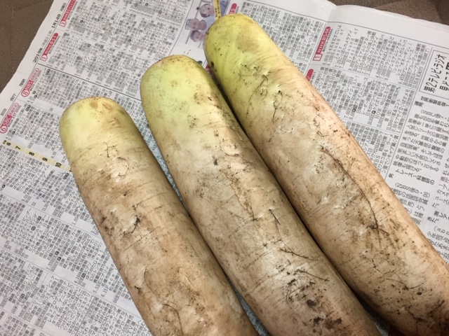 f:id:kyoebase:20190115121031j:plain