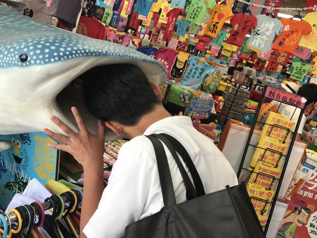 f:id:kyoeiokinawa2018:20180530130742j:plain f:id:kyoeiokinawa2018:20180530130742j:plain