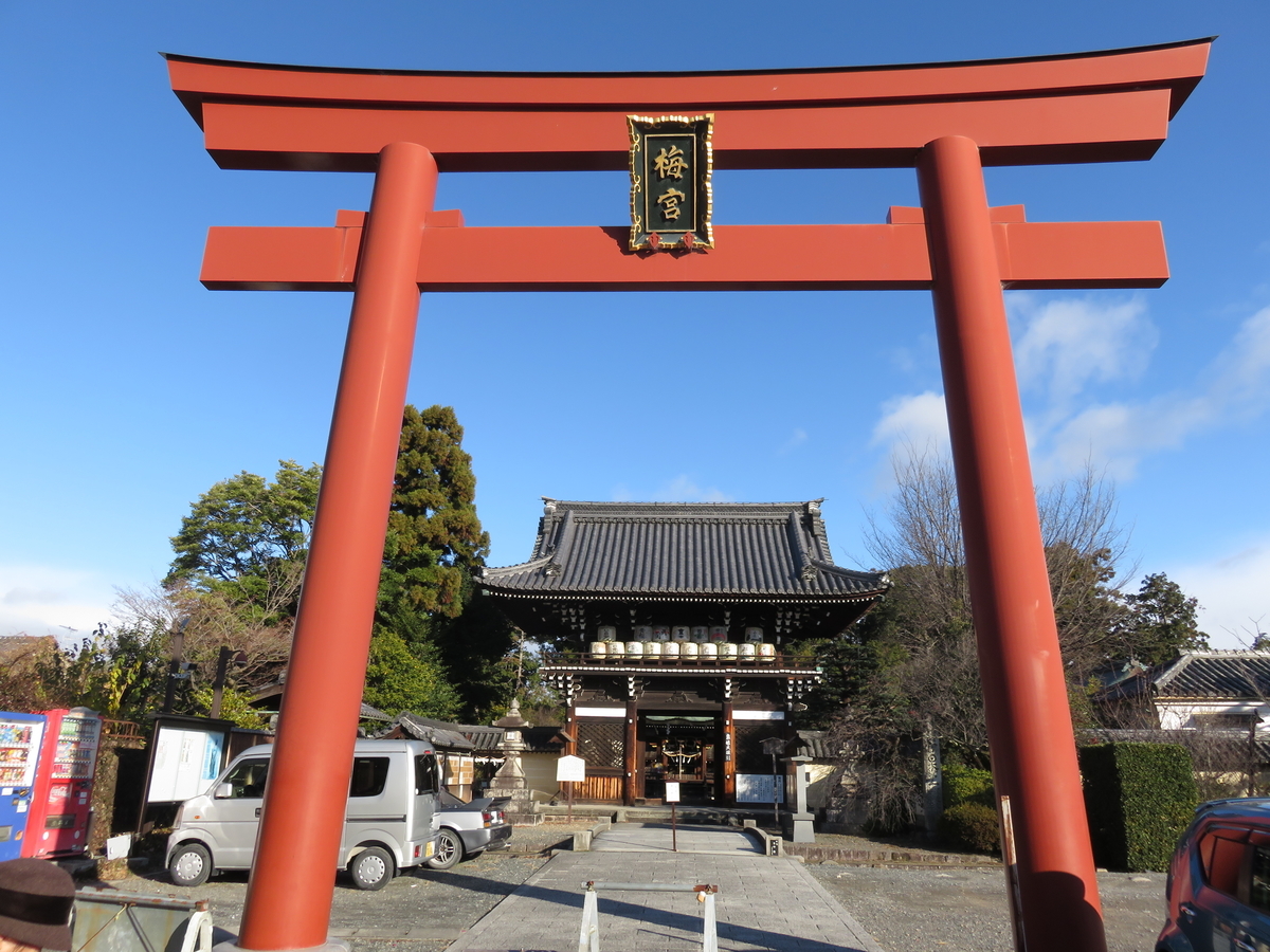 神苑梅林 📸大本梅松苑“金龍海”（京都府綾部市） Ohmoto Baishoen Garden