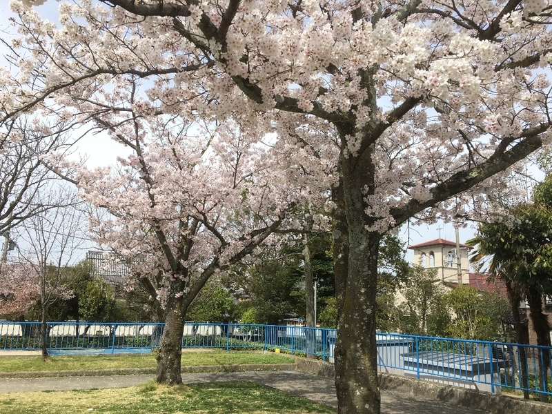 イメージ 13