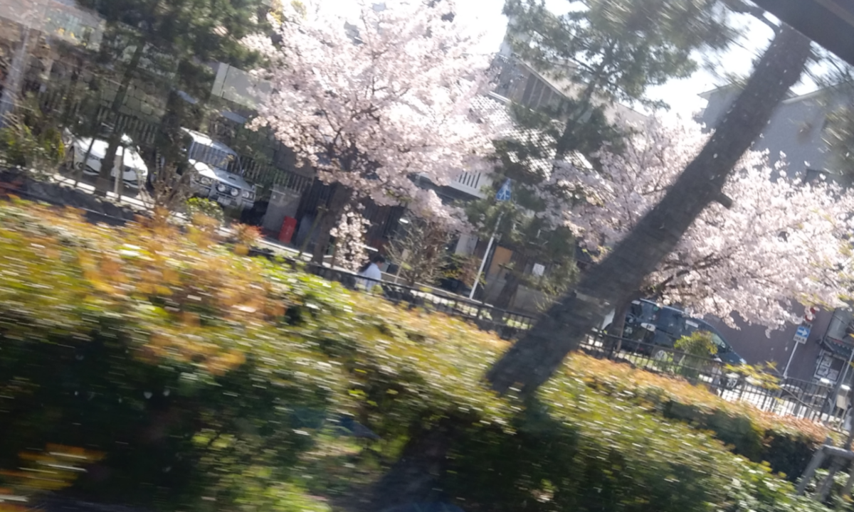 f:id:kyoka2020:20200415015231p:plain