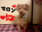 20110501173025