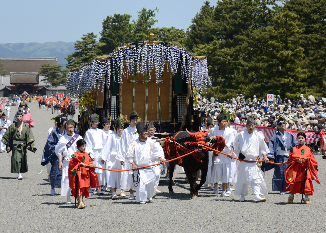 観光ガイドのプロが徹底解説！】知っておきたい「葵祭」の基礎知識