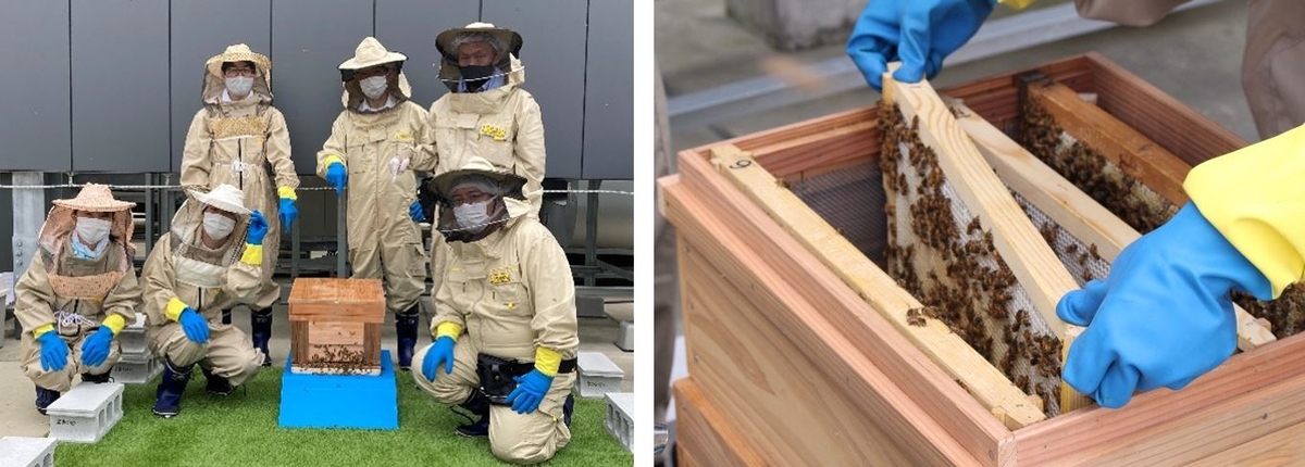 f:id:kyokanko:20220222202146j:plain