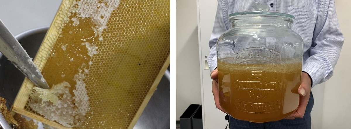 f:id:kyokanko:20220222202204j:plain