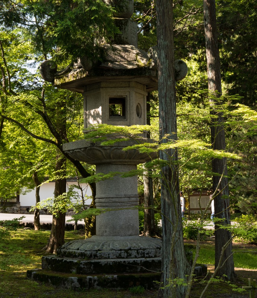 庭師が語る、京都の紅葉が人を惹きつけるワケ。 ～全部で256通り!?様々