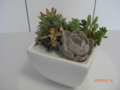 20090814125349
